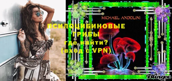 прущие грибы Горно-Алтайск